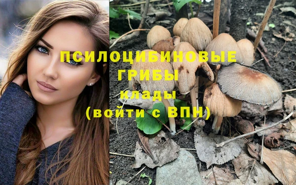 гашик Аркадак