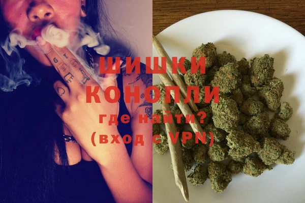 гашик Аркадак