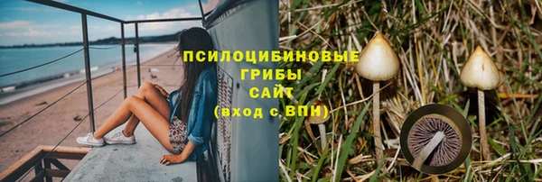 бошки Арсеньев